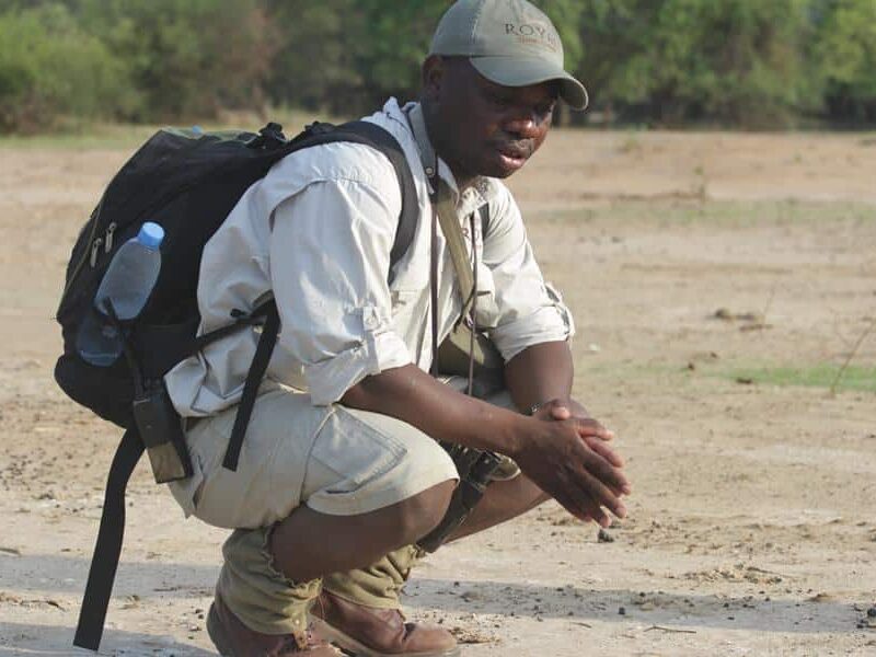 Royal Zambezi Tour Guide