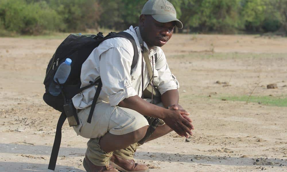 Royal Zambezi Tour Guide