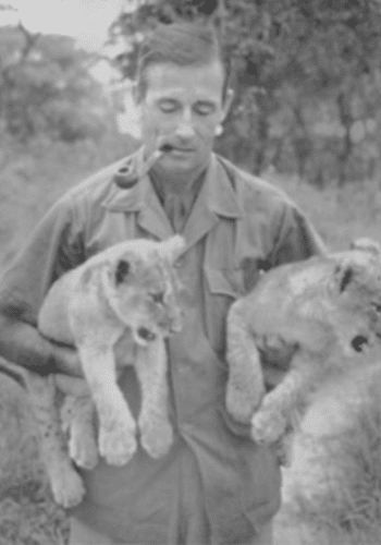 norman carr with lions