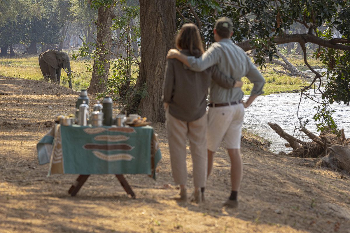 A couple with their backs to the camera, embracing, and peering at an elephant in the distance, across the river.