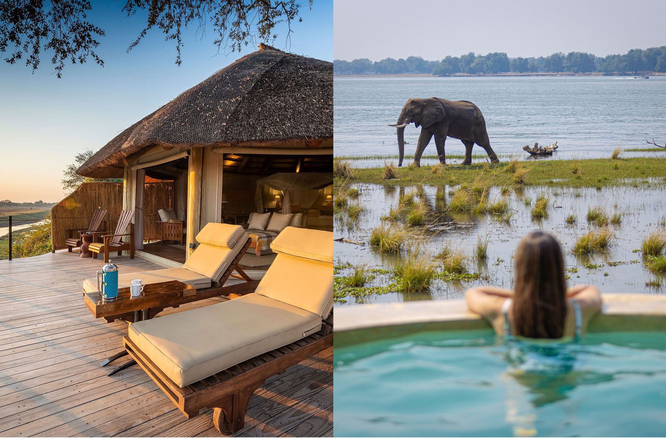 The left image shows a beautiful lodge with a thatched roof and a spacious wooden deck with lounge chairs overlooking a river at sunset. The bottom image shows a person relaxing in an infinity pool, looking out at a large elephant walking through shallow water and tall grasses in a river.